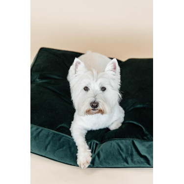 Oreiller pour chien Velvet Kentucky Oreiller pour chien Velvet Kentucky