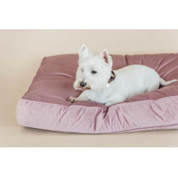 Oreiller pour chien Velvet Kentucky