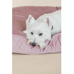 Oreiller pour chien Velvet Kentucky Vieux rose