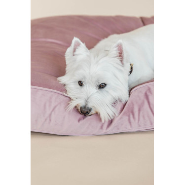 Oreiller pour chien Velvet Kentucky Oreiller pour chien Velvet Kentucky
