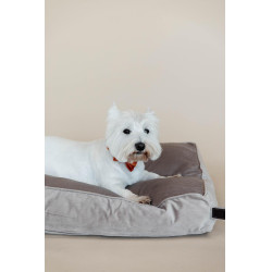 Oreiller pour chien Velvet Kentucky Beige Oreiller pour chien Velvet Kentucky Beige