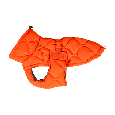 Manteau d'hiver pour chien Pina Kentucky Manteau d'hiver pour chien Pina Kentucky