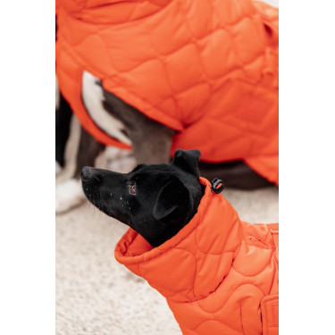 Manteau d'hiver pour chien Pina Kentucky Manteau d'hiver pour chien Pina Kentucky