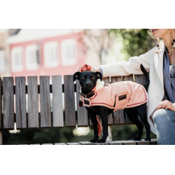 Manteau pour chien Imperméable 160g Kentucky