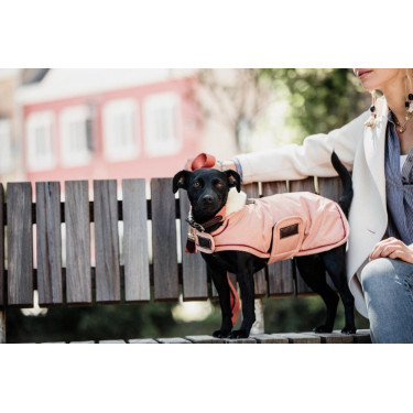 Manteau pour chien Imperméable 160g Kentucky Manteau pour chien Imperméable 160g Kentucky