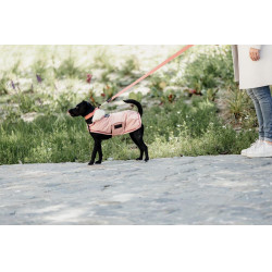 Manteau pour chien Imperméable 160g Kentucky Corail Rouge