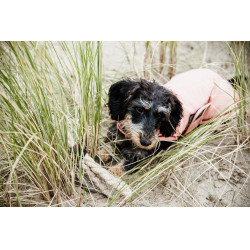 Manteau pour chien Imperméable 160g Kentucky Corail Rouge