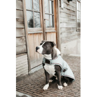 Manteau pour chien Imperméable 160g Kentucky Corail Rouge