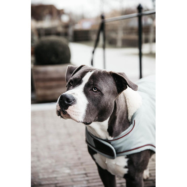 Manteau pour chien Imperméable 160g Kentucky Bleu poudreux Manteau pour chien Imperméable 160g Kentucky Bleu poudreux