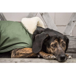 Manteau pour chien Imperméable 300g Kentucky