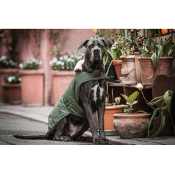 Manteau pour chien Imperméable 300g Kentucky Vert olive Manteau pour chien Imperméable 300g Kentucky Vert olive