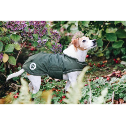 Manteau pour chien Imperméable 300g Kentucky Vert olive Manteau pour chien Imperméable 300g Kentucky Vert olive