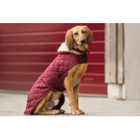 Manteau pour chien Original Kentucky Bordeaux Manteau pour chien Original Kentucky Bordeaux
