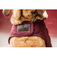 Manteau pour chien Original Kentucky Bordeaux Manteau pour chien Original Kentucky Bordeaux