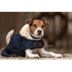 Manteau pour chien Original Kentucky