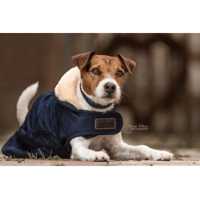 Manteau pour chien Original Kentucky Navy