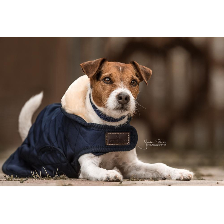 Manteau pour chien Original Kentucky