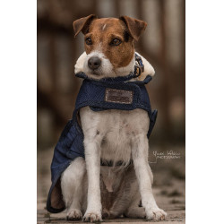 Manteau pour chien Original Kentucky Navy Bleu marine