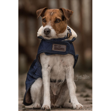 Manteau pour chien Original Kentucky Manteau pour chien Original Kentucky