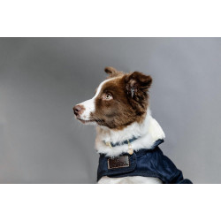 Manteau pour chien Original Kentucky Navy Bleu marine