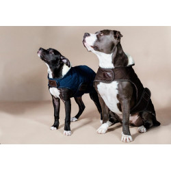 Manteau pour chien Original Kentucky Navy Bleu marine