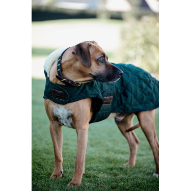 Manteau pour chien Original Kentucky Manteau pour chien Original Kentucky