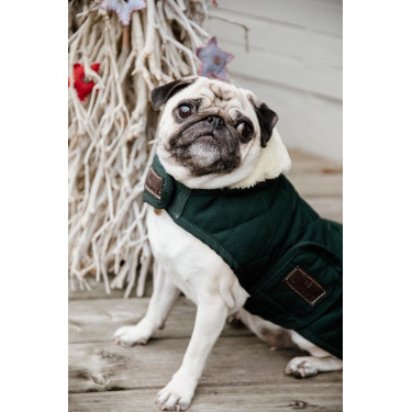 Manteau pour chien Original Kentucky Manteau pour chien Original Kentucky
