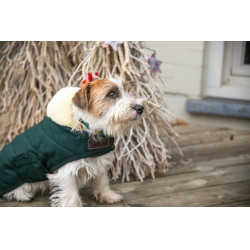 Manteau pour chien Original Kentucky Vert foncé