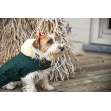 Manteau pour chien Original Kentucky Manteau pour chien Original Kentucky