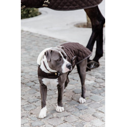 Manteau pour chien Original Kentucky Brun Marron