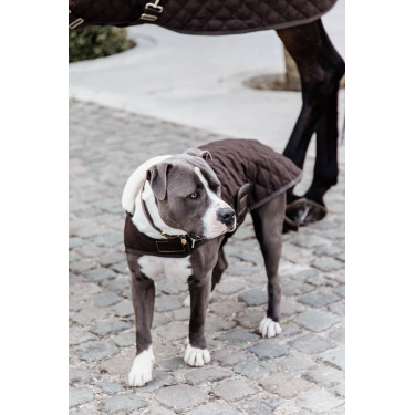 Manteau pour chien Original Kentucky Brun Marron