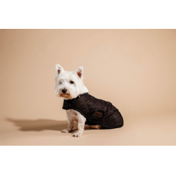 Manteau pour chien Original Kentucky Brun Marron