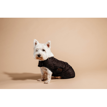 Manteau pour chien Original Kentucky Brun Marron