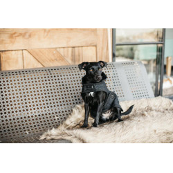 Manteau pour chien Original Kentucky Noir/noir