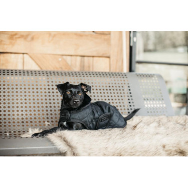 Manteau pour chien Original Kentucky Noir/noir