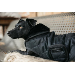 Manteau pour chien Original Kentucky Noir/noir