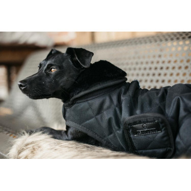 Manteau pour chien Original Kentucky Noir/noir