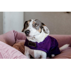 Manteau pour chien Original Kentucky Mauve royal Violet Manteau pour chien Original Kentucky Mauve royal Violet