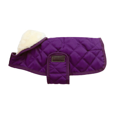 Manteau pour chien Original Kentucky Mauve royal Violet