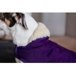 Manteau pour chien Original Kentucky Mauve royal Violet Manteau pour chien Original Kentucky Mauve royal Violet