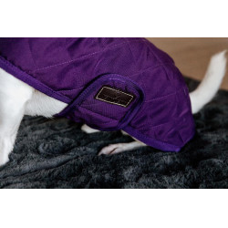 Manteau pour chien Original Kentucky Mauve royal Violet Manteau pour chien Original Kentucky Mauve royal Violet