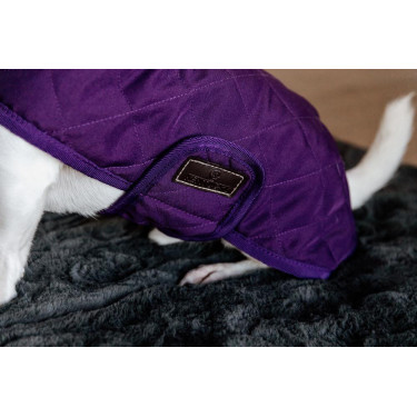 Manteau pour chien Original Kentucky Mauve royal Violet Manteau pour chien Original Kentucky Mauve royal Violet