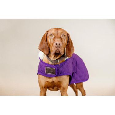 Manteau pour chien Original Kentucky Mauve royal Violet Manteau pour chien Original Kentucky Mauve royal Violet