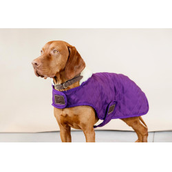 Manteau pour chien Original Kentucky Mauve royal Violet Manteau pour chien Original Kentucky Mauve royal Violet