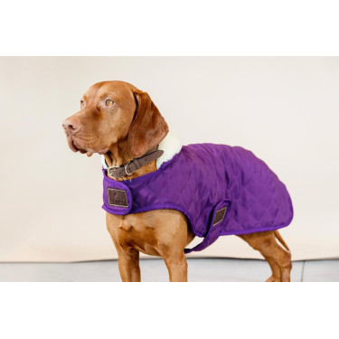 Manteau pour chien Original Kentucky Mauve royal Violet Manteau pour chien Original Kentucky Mauve royal Violet