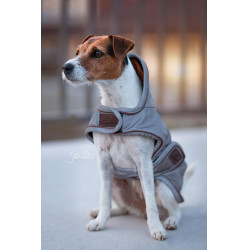 Manteau pour chien rèflèchissant & déperlant Kentucky