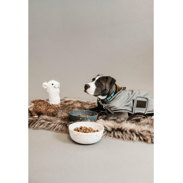 Manteau pour chien rèflèchissant & déperlant Kentucky Manteau pour chien rèflèchissant & déperlant Kentucky