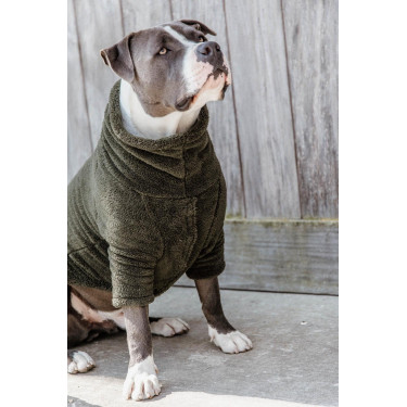Pull Pour Chien Teddy Fleece Kentucky Pull Pour Chien Teddy Fleece Kentucky