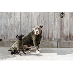 Pull Pour Chien Teddy Fleece Kentucky Vert sapin