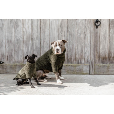 Pull Pour Chien Teddy Fleece Kentucky Pull Pour Chien Teddy Fleece Kentucky